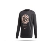 adidas DFB Deutschland SSP Sweater langarm (FI1470)