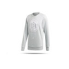 adidas DFB Deutschland SSP Sweatshirt (FL2769)