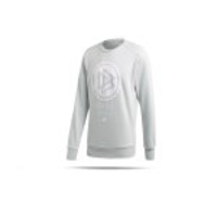 adidas DFB Deutschland SSP Sweatshirt (FL2769)