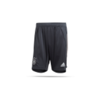 adidas DFB Deutschland Trainingsshort (FI0756)