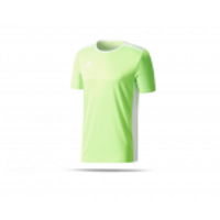 adidas Entrada 18 Trikot kurzarm (CE9758)