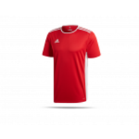 adidas Entrada 18 Trikot kurzarm (CF1038)