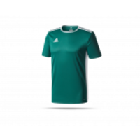adidas Entrada 18 Trikot kurzarm Kinder (CD8358k)