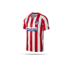 NIKE Atletico Madrid Authentic Trikot Home 19/20 (612)