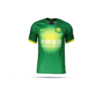 NIKE Beijing Guoan Trikot Home 19/20 (305)