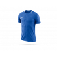 NIKE Challenge II Trikot kurzarm Kinder (463)