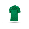 NIKE Challenge III Trikot kurzarm (302)