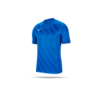 NIKE Challenge III Trikot kurzarm Kinder (463)