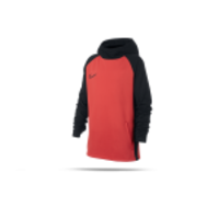 NIKE Dri-FIT Academy Kapuzensweatshirt Kinder (850)