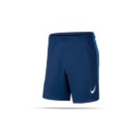 NIKE Dri-FIT Strike Short Hose kurz (407)