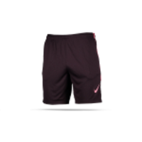 NIKE Dri-FIT Strike Short Hose kurz (659)