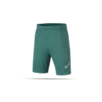 NIKE Dri-FIT Strike Short Hose kurz Kinder (362)