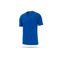 NIKE Dri-FIT Tee T-Shirt (480)