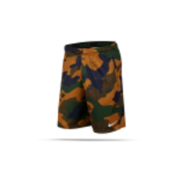 NIKE Dri-FIT Training Short 4.0 Hose kurz (790)