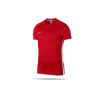 NIKE Dry Academy T-Shirt (657)