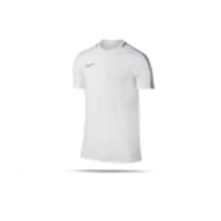 NIKE Dry Squad Top T-Shirt (100)