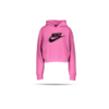 NIKE Fleece Hoodie (691)
