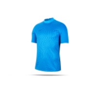 NIKE Gardien III Torwarttrikot kurzarm (477)