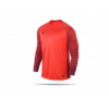 NIKE Gardien Trikot langarm (671)