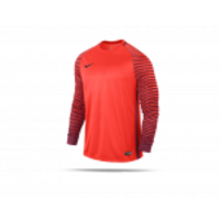 NIKE Gardien Trikot langarm (671)