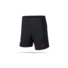 NIKE Hertha BSC Berlin Short Away 19/20 (010)
