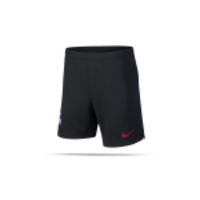 NIKE Hertha BSC Berlin Short Away 19/20 (010)