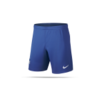 NIKE Hertha BSC Berlin Short Home 19/20 (497)