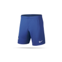 NIKE Hertha BSC Berlin Short Home 19/20 (497)