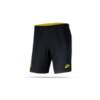 NIKE Inter Mailand Short 3rd Kinder 19/20 (010)