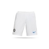 NIKE Inter Mailand Shorts Home Away 20/21 (100)