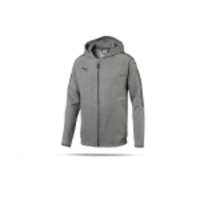 PUMA Ascension FZ Hoody Kapuzenjacke (061)