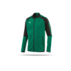 PUMA Ascension Stadium Jacket (005)