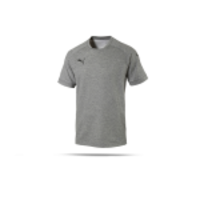 PUMA Ascension Tee T-Shirt (061)