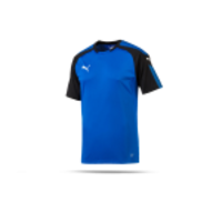 PUMA Ascension Trainingsshirt (002)
