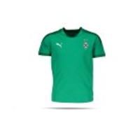 PUMA Borussia Mönchengladbach Trainingstrikot Kinder (005)