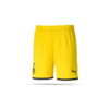 PUMA BVB Dortmund Short 19/20 Kinder (001)