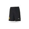 PUMA BVB Dortmund Torwart Shorts 20/21 Kinder (002)