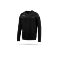 PUMA CUP Casuals Sweatshirt (003)