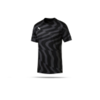PUMA CUP Core Trikot kurzarm (003)