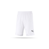 PUMA CUP Short (004)