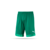 PUMA CUP Short (005)