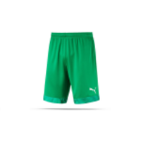 PUMA CUP Short (043)