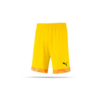 PUMA CUP Short (045)