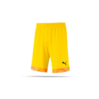 PUMA CUP Short (045)