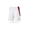 PUMA Schweiz Short Away EM 2020 (002)
