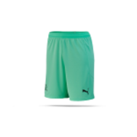 PUMA Schweiz Torwart Short EM 2020 Kinder (004)