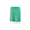 PUMA Schweiz Torwart Short EM 2020 Kinder (004)