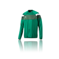 PUMA Spirit II Training Sweatshirt (005)