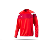 PUMA Spirit II Training Sweatshirt Kinder (001)
