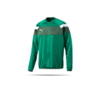 PUMA Spirit II Training Sweatshirt Kinder (005)